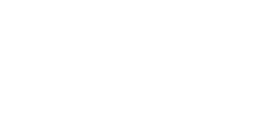 princess logo in white