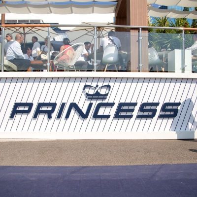 princess logo close up