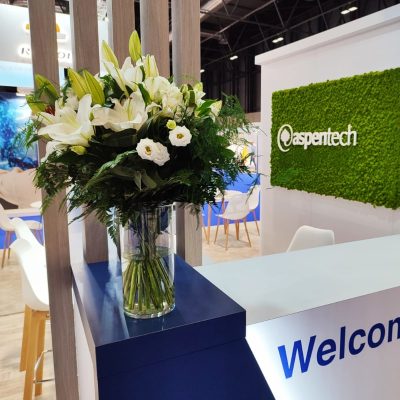 Aspentech Flowers in a Vase